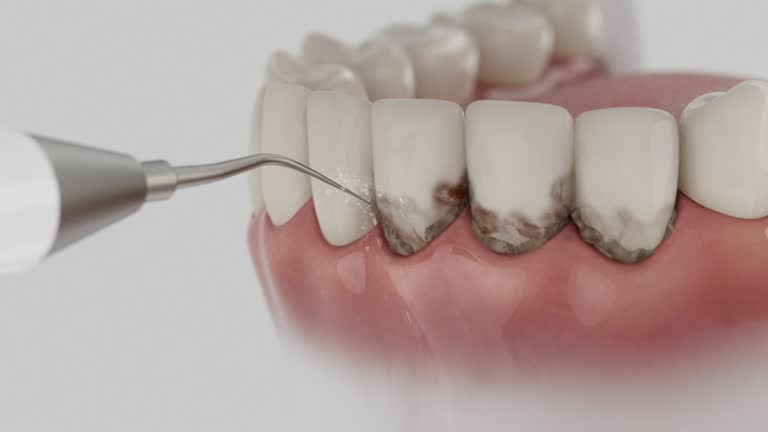 Reliable Dental contractor in Biloxi, MS by Dentist Open Now